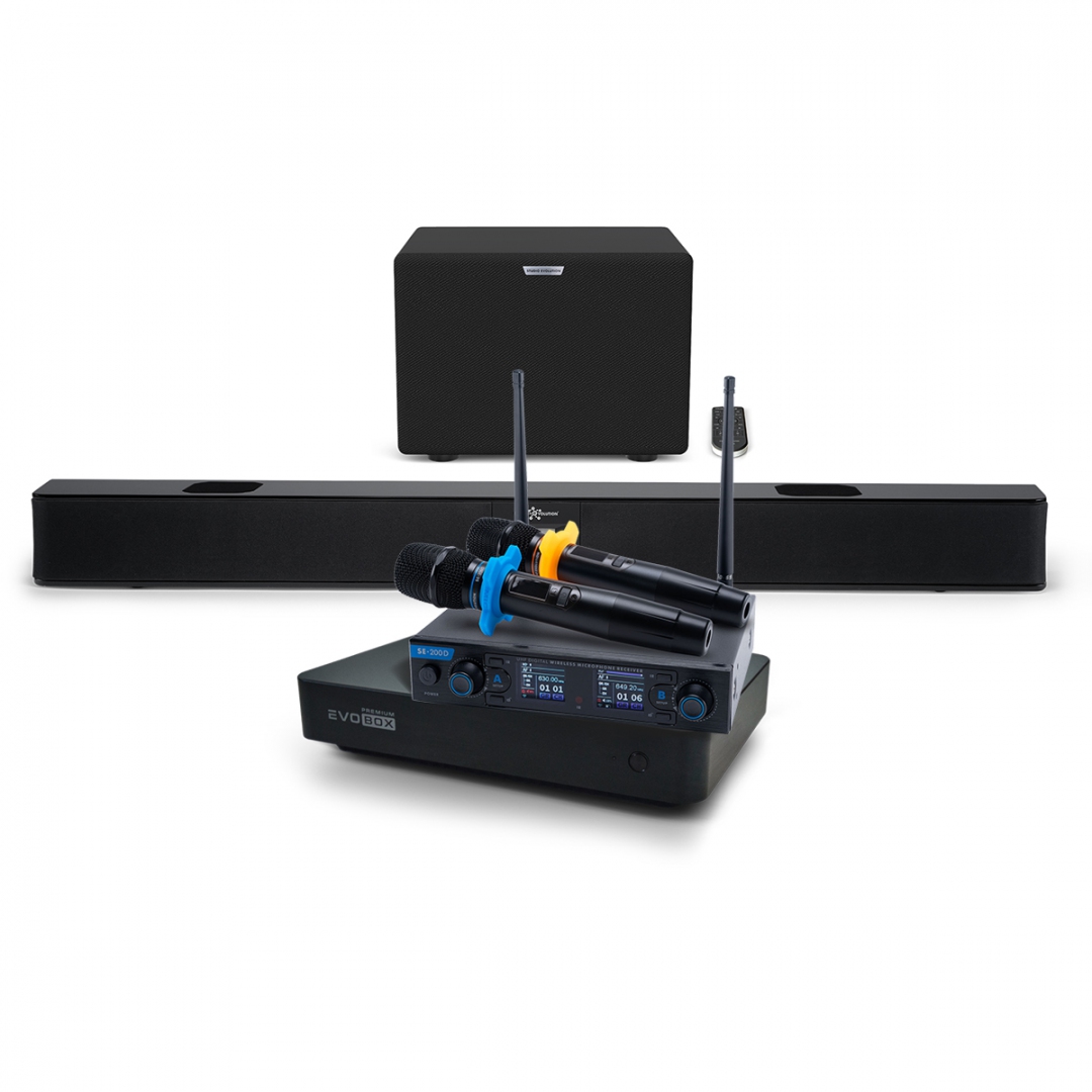 Hi-End караоке-система EVOBOX Premium + EvoSoundBar (саундбар с караоке) в Гусь-Хрустальном