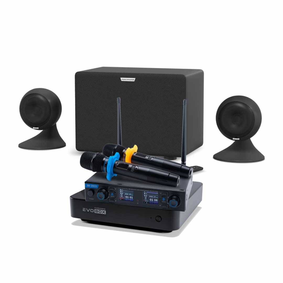 караоке-комплект EVOBOX + EvoSound Sphere 2.1 в Гусь-Хрустальном
