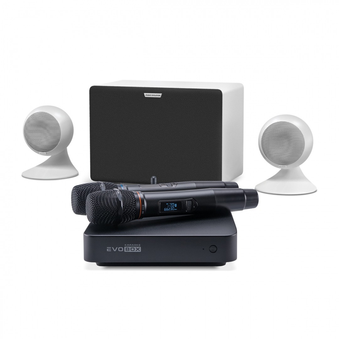 караоке-комплект EVOBOX Classic + EvoSound Sphere 2.1 в Гусь-Хрустальном