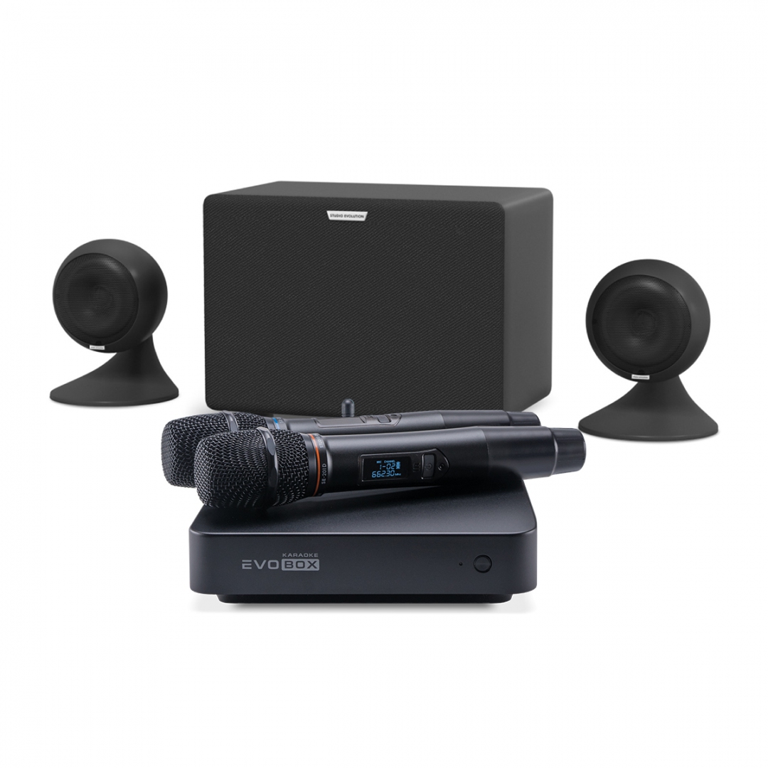 караоке-комплект EVOBOX Plus + EvoSound Sphere 2.1 в Гусь-Хрустальном