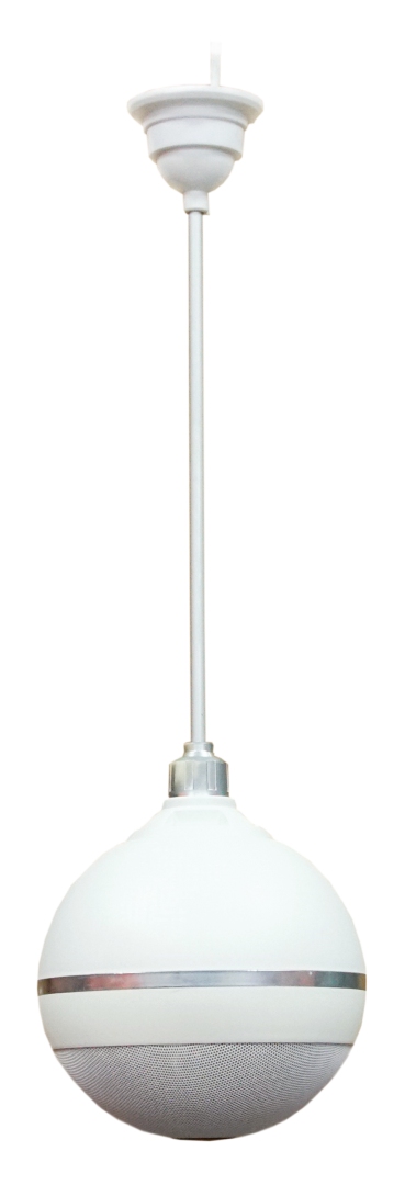 SVS Audiotechnik BWS-603 Громкоговоритель подвесной потолочный в Гусь-Хрустальном