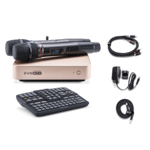 EVOBOX Classic караоке-система для дома в Гусь-Хрустальном