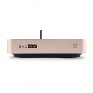 EVOBOX Plus караоке-система для дома в Гусь-Хрустальном