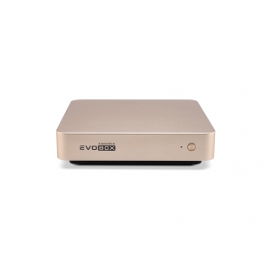EVOBOX с микрофонами в Гусь-Хрустальном